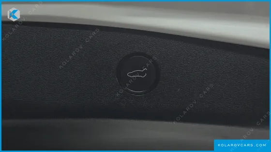 TESLA MODEL 3 STANDARD RANGE PLUE RWD