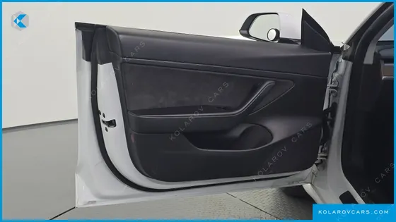 TESLA MODEL 3 STANDARD RANGE PLUE RWD