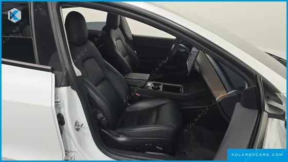 TESLA MODEL 3 STANDARD RANGE PLUE RWD