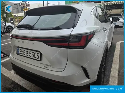 LEXUS NX PREMIUM