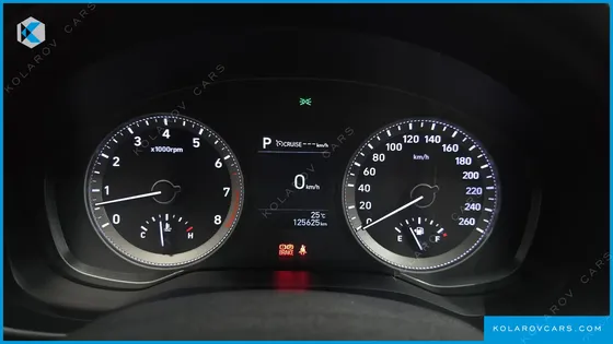 HYUNDAI GRANDEUR 3.0 LPI MODERN (RENTAL CAR)