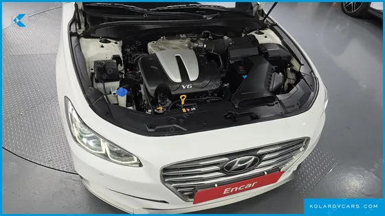 HYUNDAI GRANDEUR 3.0 LPI DSABLED PERSON