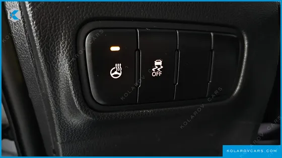 KIA RAY LUXURY