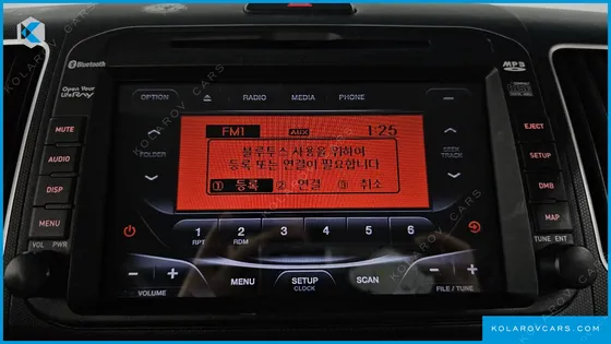 KIA RAY LUXURY