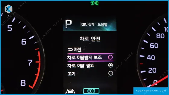 KIA K5 2.0 LPI(RENTER CAR)