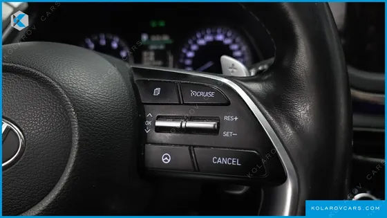 HYUNDAI SONATA 2.0 LPG(RENTAL CAR)