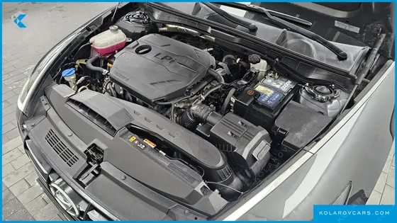 HYUNDAI SONATA 2.0 LPG(DISABLED PERSON)