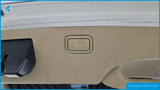 KIA CARNIVAL 11-SEATER HI-LIMOUSINE