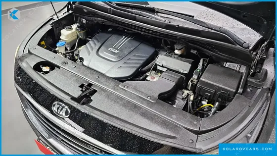 KIA CARNIVAL GASOLINE 9-SEATER LIMOUSINE(SPECIAL VEHICLE)