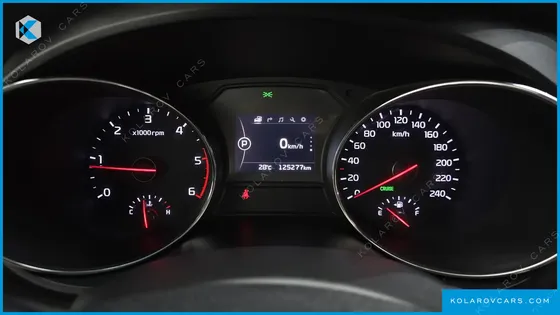 KIA CARNIVAL 9-SEATER LUXURY