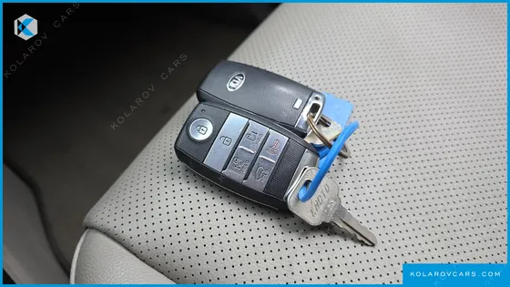 KIA CARNIVAL 9-SEATER LUXURY