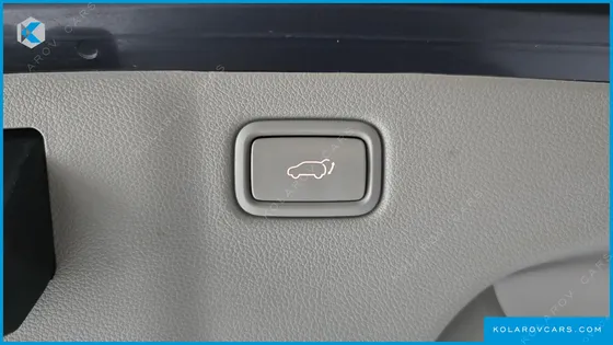 KIA CARNIVAL 9-SEATER PRESTIGE