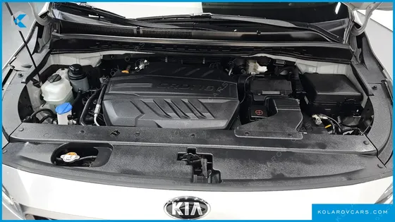 KIA CARNIVAL 9-SEATER LUXURY
