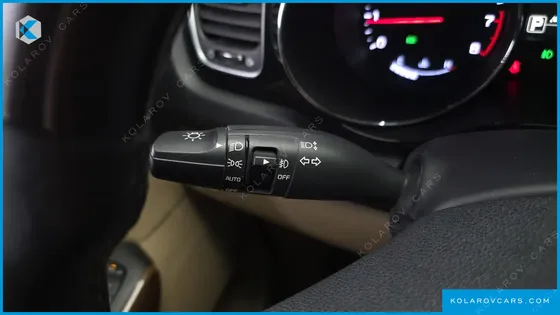 KIA CARNIVAL GASOLINE 9-SEATER HI-LIMOUSINE