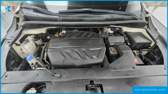 KIA CARNIVAL 9-SEATER NOBLESSE SPECIAL