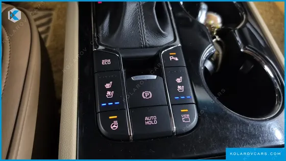 KIA CARNIVAL 9-SEATER NOBLESSE SPECIAL