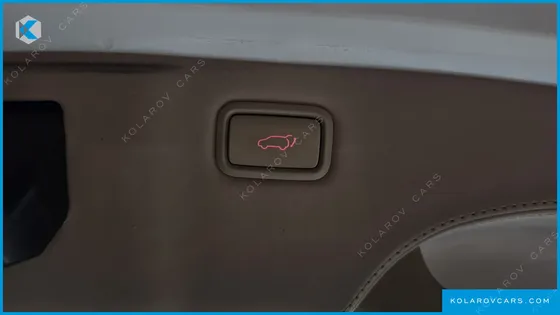 KIA CARNIVAL 9-SEATER NOBLESSE SPECIAL