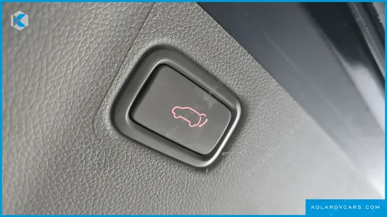 KIA CARNIVAL 9-SEATER NOBLESSE