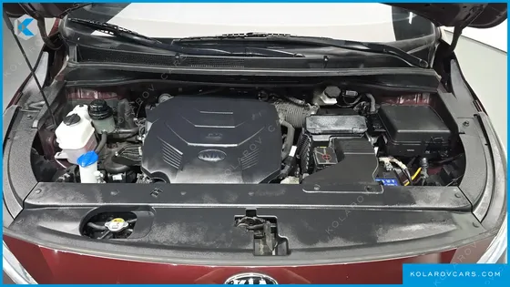 KIA CARNIVAL GASOLINE 9-SEATER NOBLESSE SPECIAL
