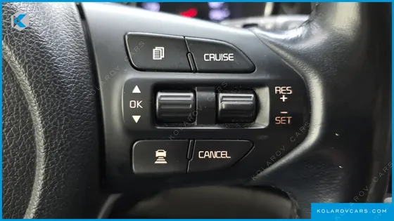KIA CARNIVAL GASOLINE 9-SEATER NOBLESSE SPECIAL