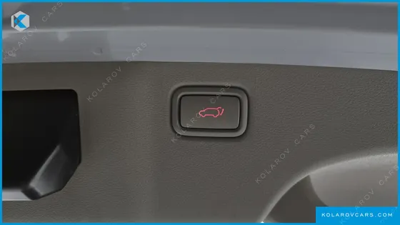 KIA CARNIVAL 9-SEATER NOBLESSE