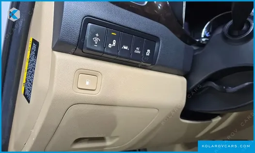 KIA CARNIVAL GASOLINE 9-SEATER NOBLESSE SPECIAL