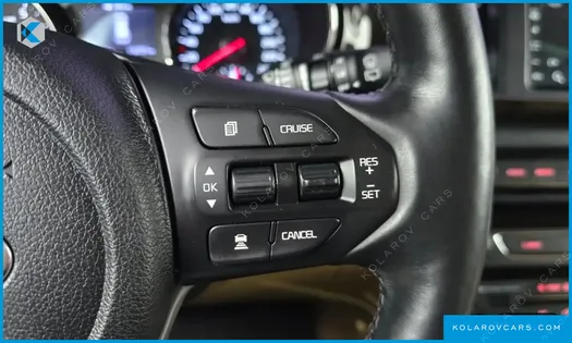 KIA CARNIVAL GASOLINE 9-SEATER NOBLESSE SPECIAL