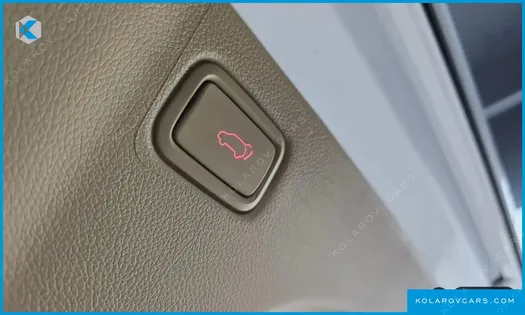 KIA CARNIVAL GASOLINE 9-SEATER NOBLESSE SPECIAL