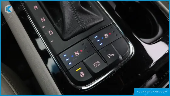 KIA CARNIVAL 9-SEATER NOBLESSE