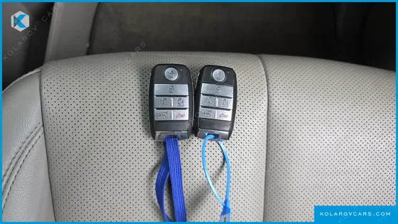 KIA CARNIVAL 9-SEATER NOBLESSE