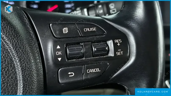 KIA CARNIVAL 9-SEATER LUXURY