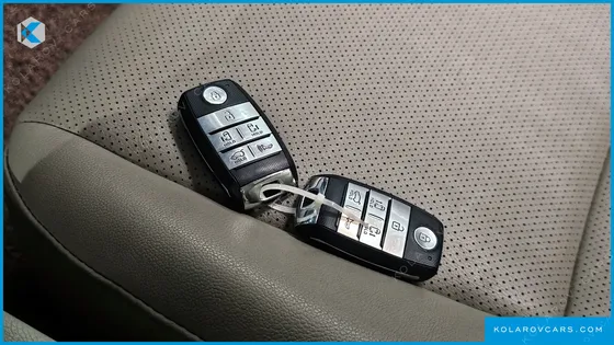 KIA CARNIVAL 9-SEATER LUXURY