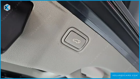 KIA CARNIVAL GASOLINE 7-SEATER LIMOUSINE