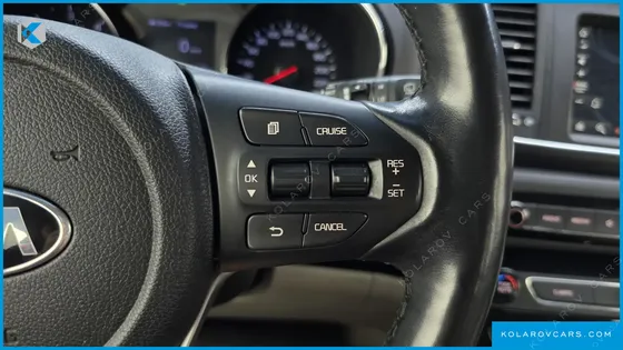 KIA CARNIVAL 9-SEATER LUXURY