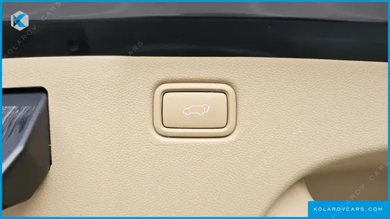 KIA CARNIVAL GASOLINE 7-SEATER HI-LIMOUSINE