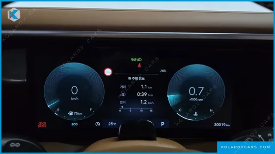 HYUNDAI PALISADE GASOLINE 2.5T 4WD 9-SEATER