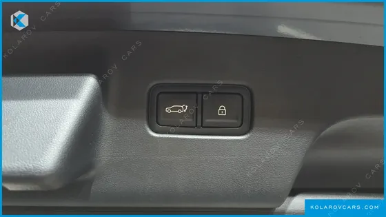 HYUNDAI PALISADE GASOLINE 2.5T 4WD 9-SEATER