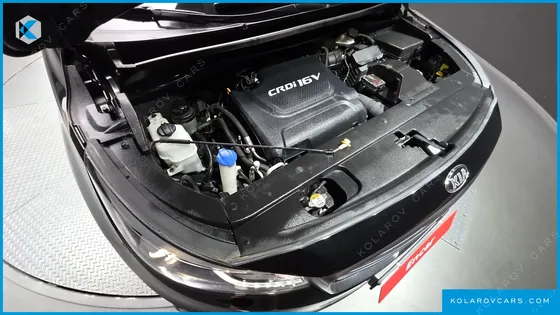 KIA CARNIVAL 9-SEATER NOBLESSE SPECIAL