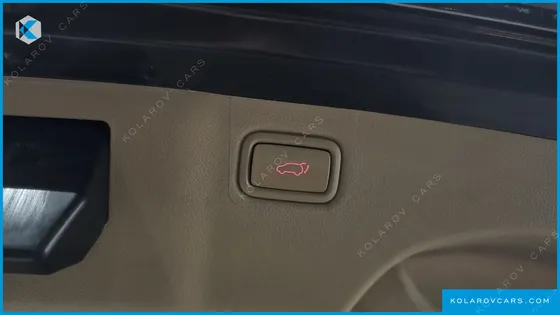 KIA CARNIVAL 9-SEATER NOBLESSE SPECIAL