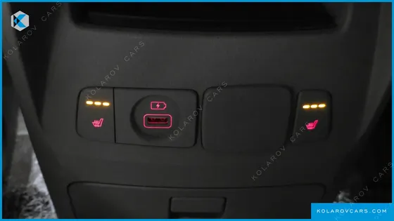 KIA CARNIVAL 9-SEATER LUXURY