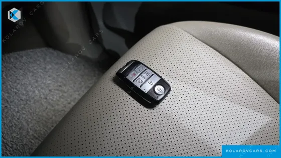 KIA CARNIVAL 9-SEATER LUXURY