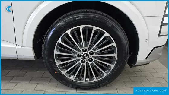 HYUNDAI PALISADE GASOLINE 2.5T 4WD 9-SEATER
