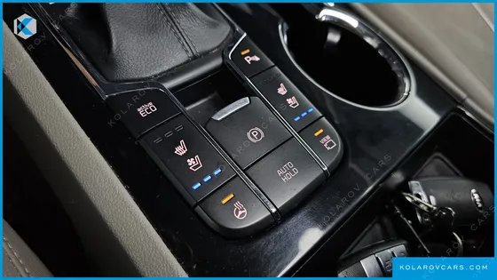 KIA CARNIVAL 9-SEATER NOBLESSE SPECIAL