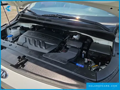 KIA CARNIVAL 11-SEATER DELUXE