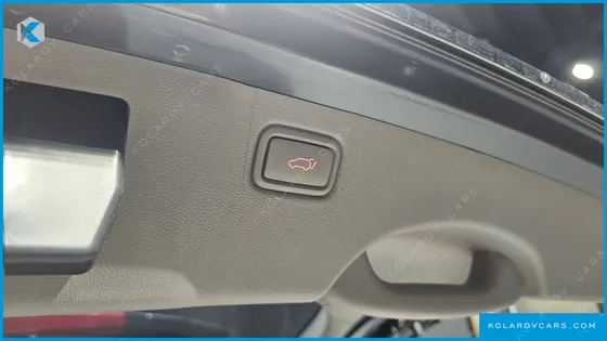 KIA CARNIVAL 9-SEATER NOBLESSE SPECIAL