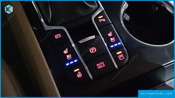 KIA CARNIVAL 9-SEATER NOBLESSE SPECIAL