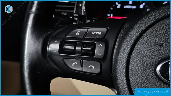 KIA CARNIVAL 9-SEATER NOBLESSE SPECIAL