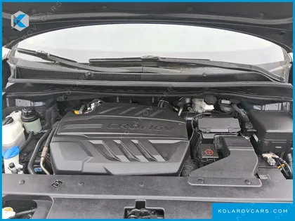 KIA CARNIVAL 9-SEATER LUXURY