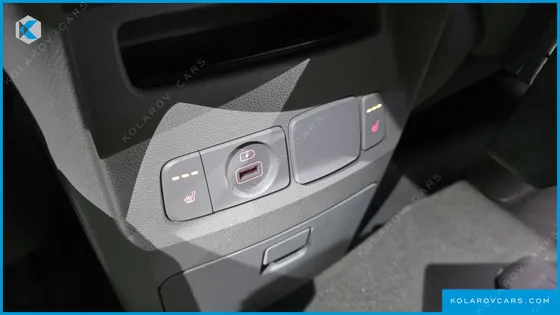 KIA CARNIVAL 9-SEATER LUXURY