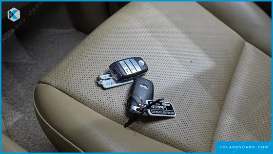 KIA CARNIVAL 9-SEATER HI-LIMOUSINE